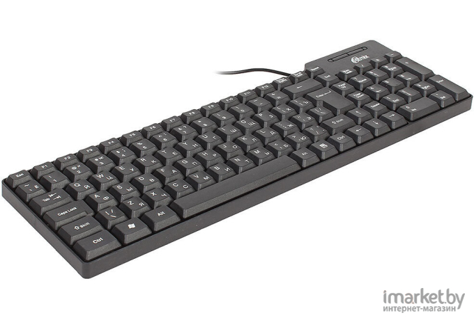 Клавиатура Ritmix RKB-100