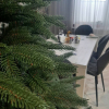 Новогодняя елка Maxy Poland Рождественская литая 2.1 м