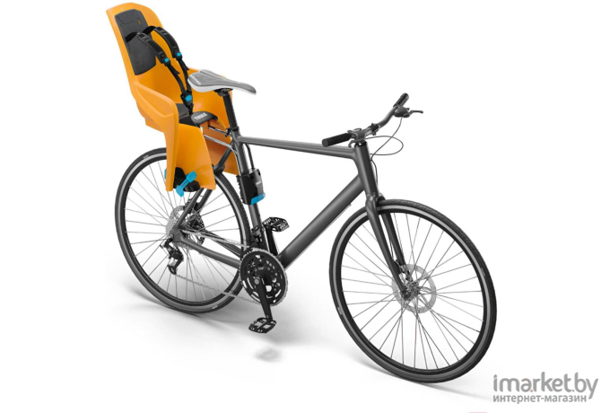 Детское велокресло Thule Ride Along Lite оранжевый (100111)