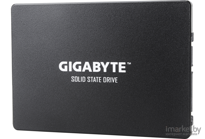 SSD диск Gigabyte GP-GSTFS31256GTND 256 GB