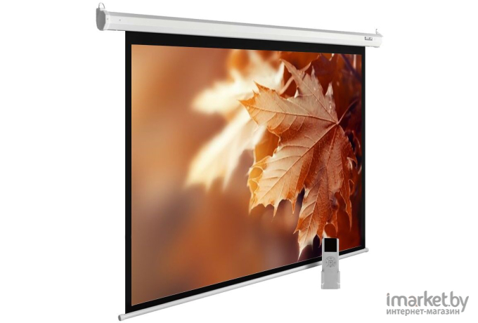 Проекционный экран CACTUS MotoExpert CS-PSME-300x188-WT настенно-потолочный (моторизованный привод) белый