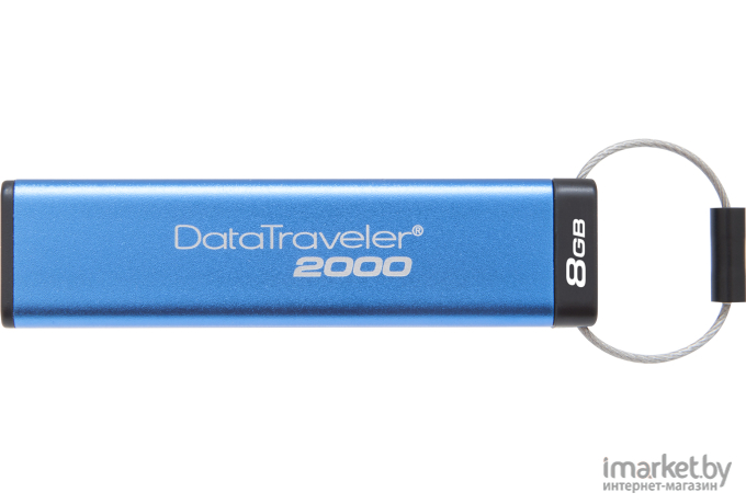 Usb flash Kingston DataTraveler 2000 8Gb синий [DT2000/8GB]