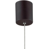 Потолочный подвесной светильник Favourite 2121-1P