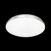 Накладной светильник Sonex Smalli  SN 035 LED 30Вт [3016/CL]