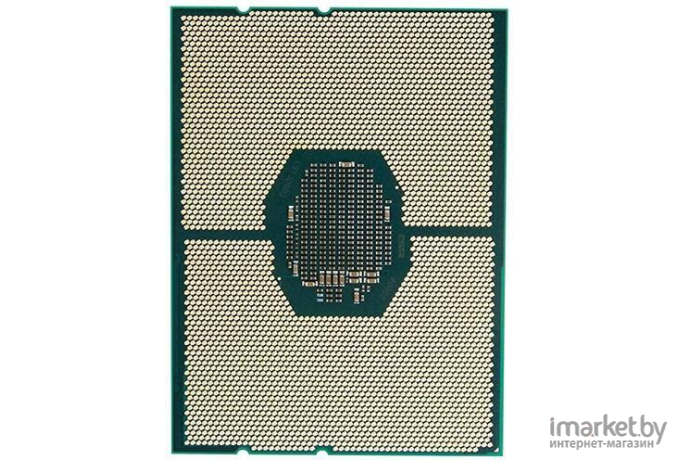 Процессор Intel Xeon  GOLD 6246R OEM [CD8069504449801 S RGZL]