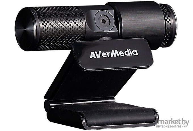 Web-камера AverMedia PW 313 черный [40AAPW313ASF]