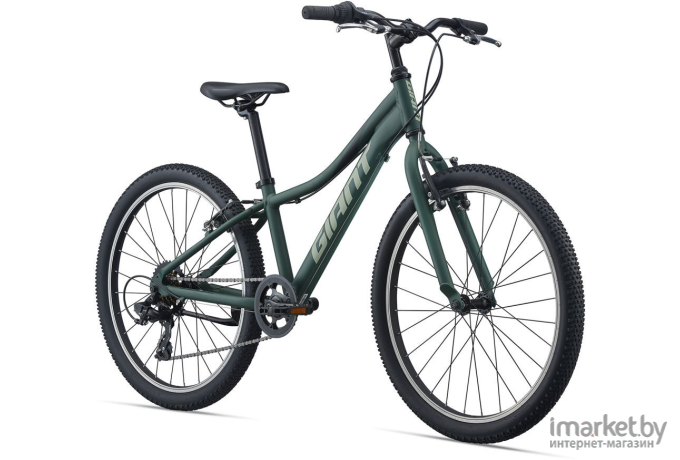 Велосипед Giant XtC Jr 24 Lite  One size Trekking Green [2104033110]