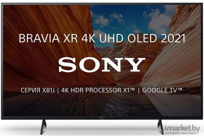 Телевизор Sony KD65X81JR