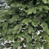 Новогодняя елка Maxy Poland Империя Exclusive литая 2.3 м
