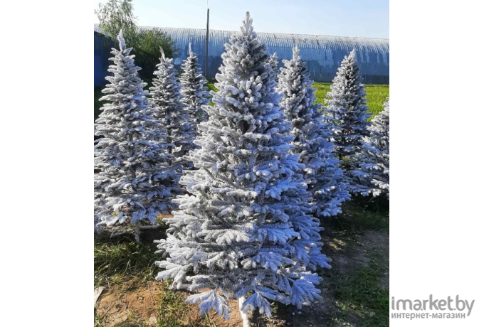 Новогодняя елка Maxy Poland Наоми заснеженная с литыми ветками 1.8 м