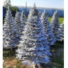 Новогодняя елка Maxy Poland Наоми заснеженная с литыми ветками 2.3 м