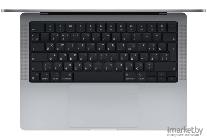 Ноутбук Apple MacBook Pro 14 2021 [MKGP3]