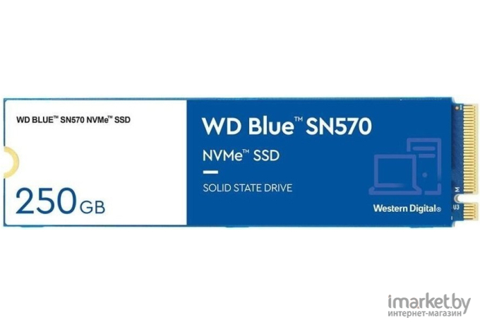 SSD диск WD M.2 2280 250GB BLUE Blue [WDS250G3B0C]
