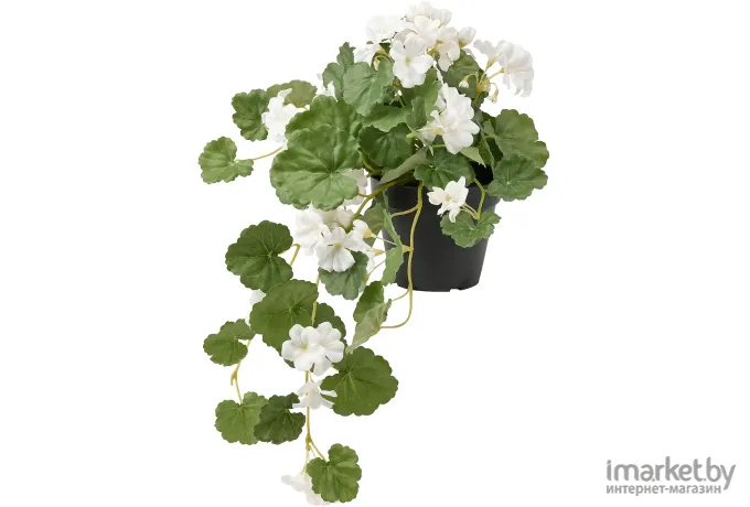 Искусственное растение Ikea Фейка герань белый 905.065.09
