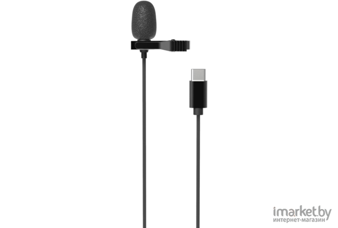 Микрофон Ritmix RCM-210 черный
