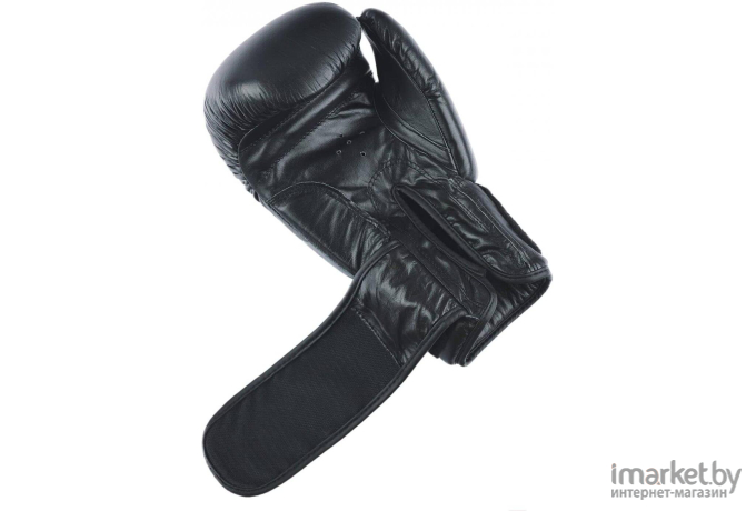 Боксерские перчатки Insane Ares 10oz черный [IN22-BG300 черный 10oz]