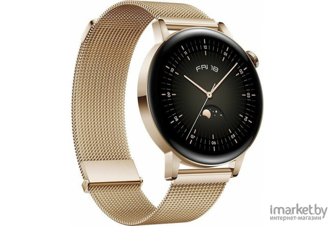 Умные часы Huawei Watch GT 3 Milo-B19T Gold [55027168]