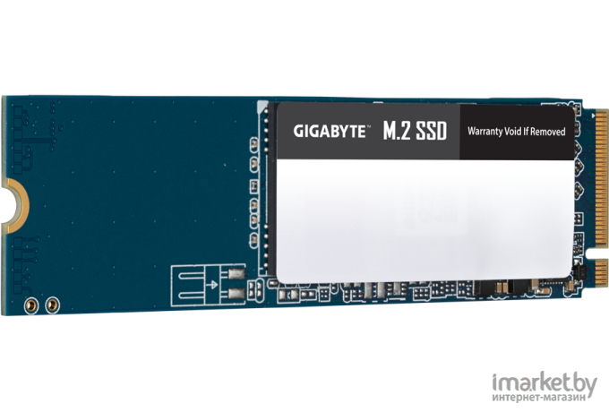 SSD-диск Gigabyte GM21TB