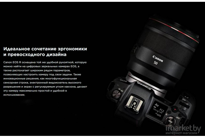 Фотоаппарат Canon EOS R (3075C033)