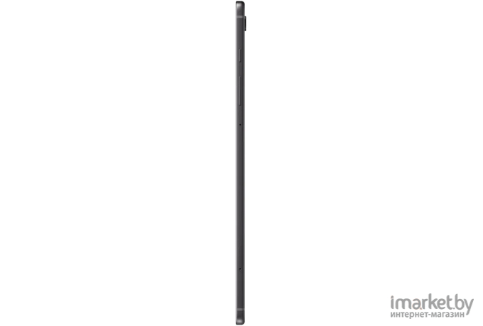 Планшет Samsung Galaxy Tab S6 Lite LTE 128GB 2022 серый (SM-P619NZAECAU)