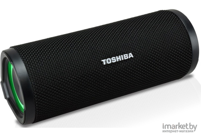 Портативная акустика Toshiba TY-WSP102