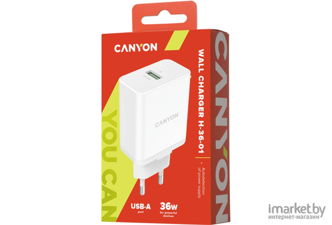 Сетевое зарядное устройство Canyon CNE-CHA36W01