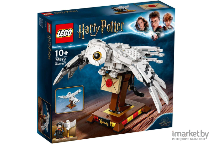 Конструктор LEGO Harry Potter Букля (75979)