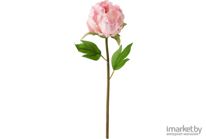 Цветок искусственный Ikea Смикка пион розовый (304.098.27)