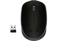 Мышь Logitech M171 Wireless Mouse серый/черный [910-004424]