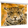 Проекционный экран Lumien Eco Picture (LEP-100102)