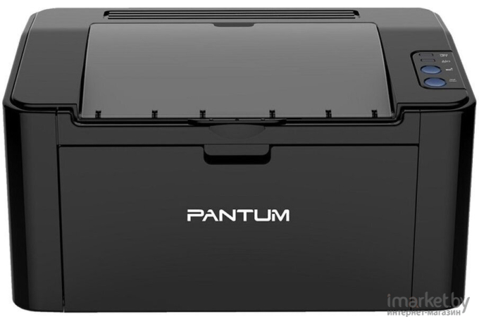 Принтер Pantum 2500W